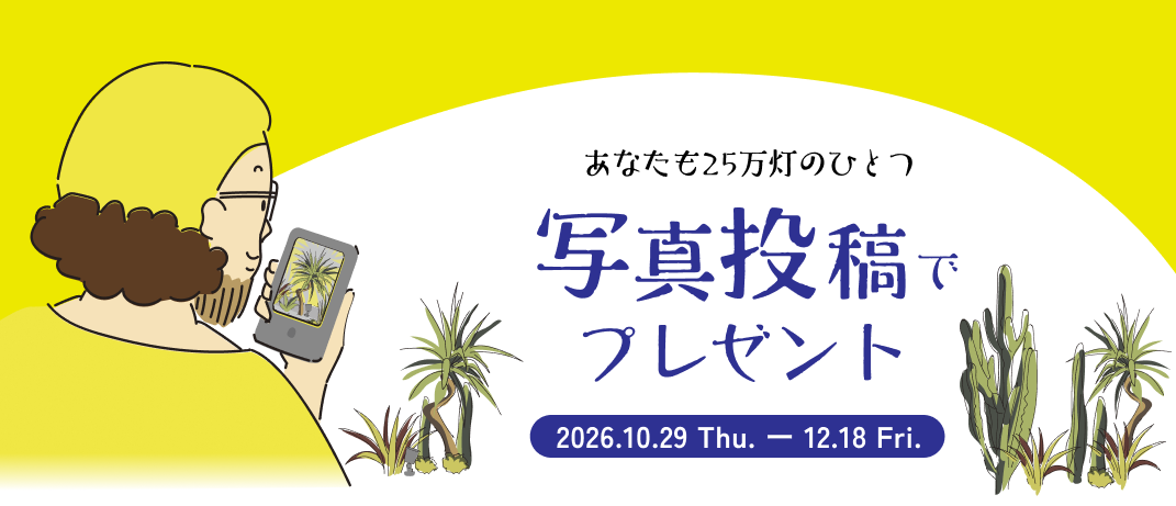 あなたも25万灯のひとつ 写真投稿でプレゼント 2026.10.29 Thu. - 12.18 Fri